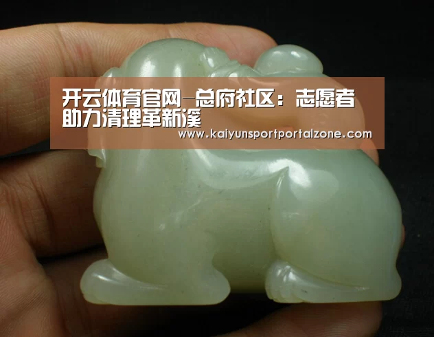 开云体育官网-总府社区:志愿者助力清理革新溪(图2) 开云体育首页